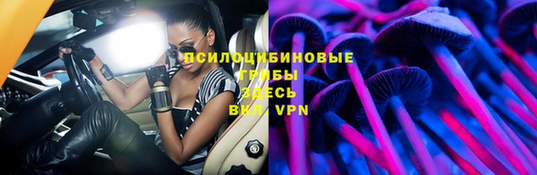 ГАЛЛЮЦИНОГЕННЫЕ ГРИБЫ Михайловск