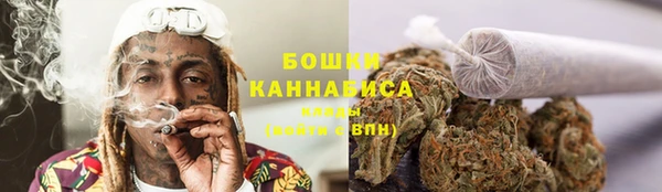 ГАЛЛЮЦИНОГЕННЫЕ ГРИБЫ Михайловск