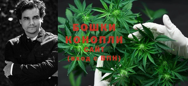 ГАЛЛЮЦИНОГЕННЫЕ ГРИБЫ Михайловск