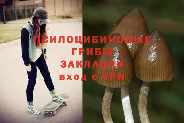 бутират Михайлов