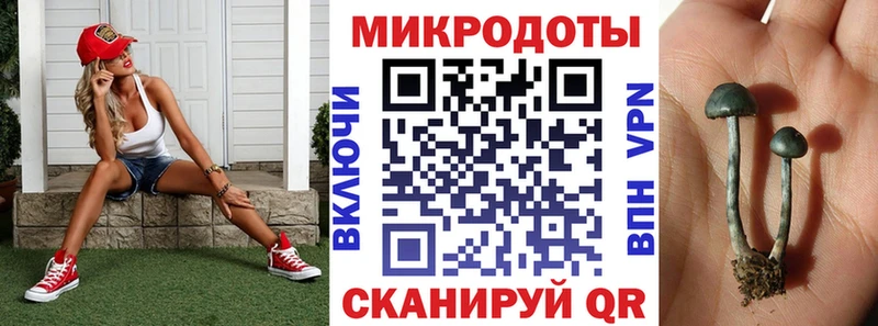 Псилоцибиновые грибы мицелий  Старый Крым 